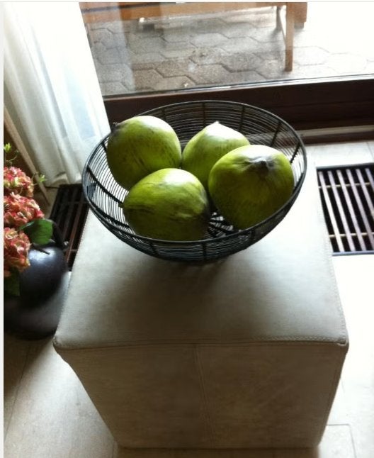 Grote ijzeren fruitschaal met 4 design ballen schaal H19Br40, Ophalen of Verzenden, Rond, Overige materialen