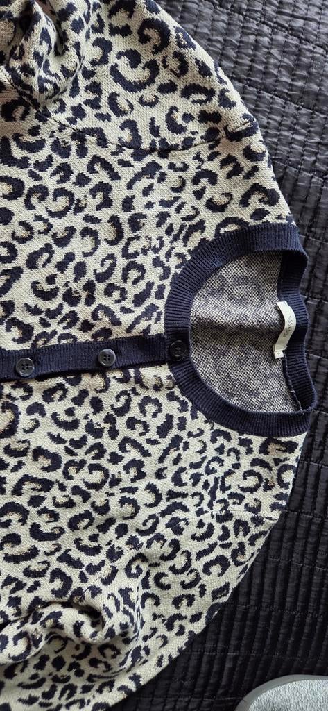 Sissy Boy wollen vest panterprint maat S, Overige kleuren, Ophalen of Verzenden, Zo goed als nieuw, Sissy Boy