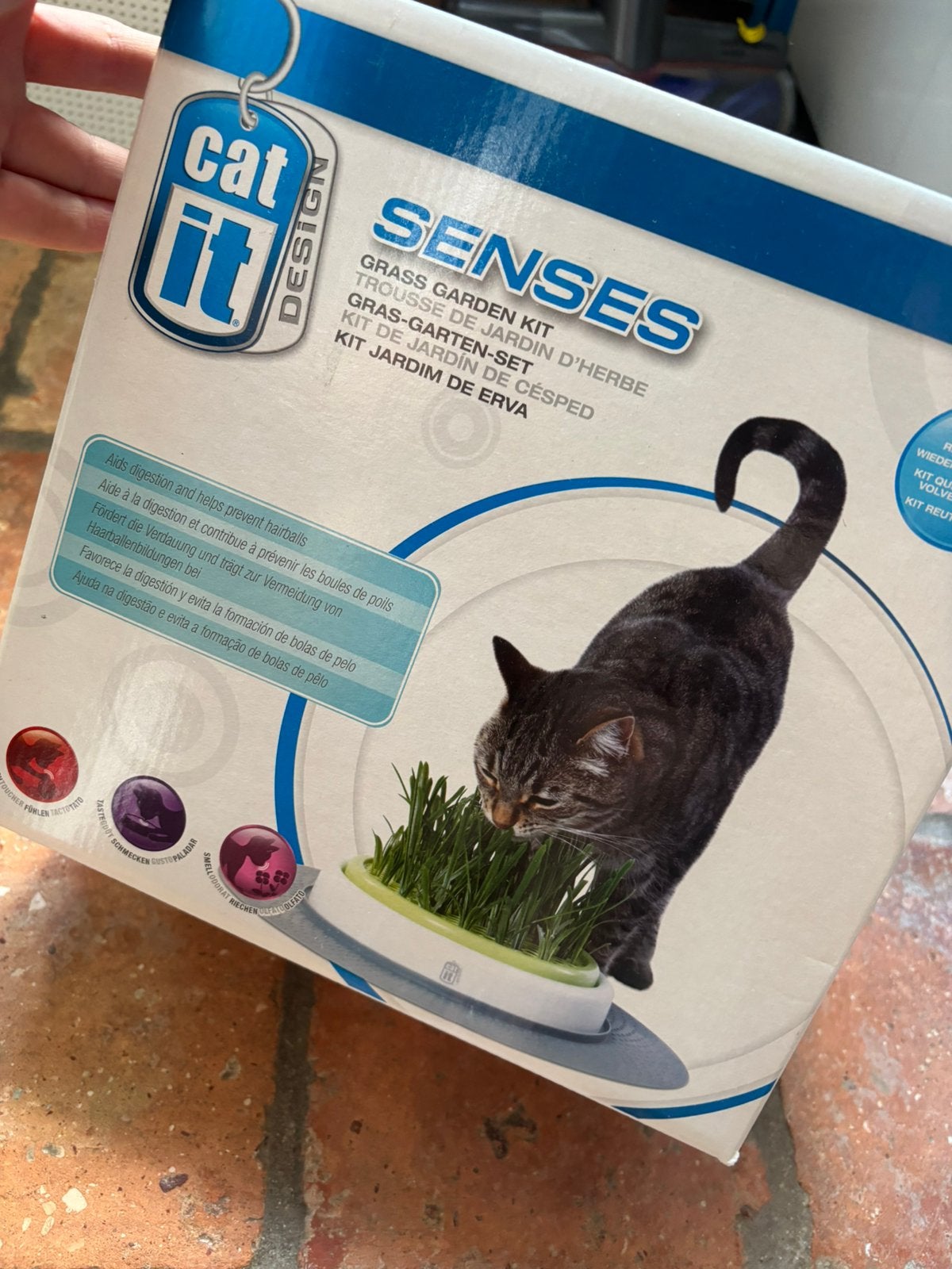 Kattengras CatIt Senses Grass Garden kit, Ophalen of Verzenden, Zo goed als nieuw