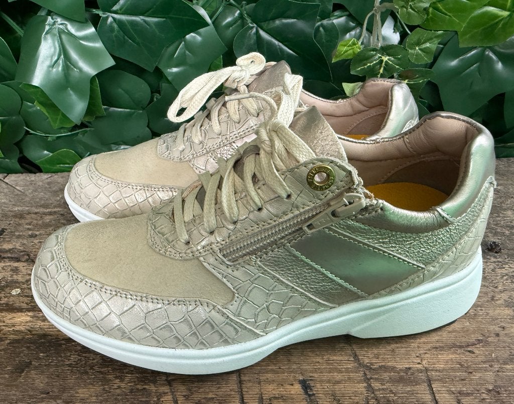Nieuwe prachtige sneakers Xsensible maat 37 (wijdte H), Beige, Nieuw, Ophalen of Verzenden, Sneakers of Gympen