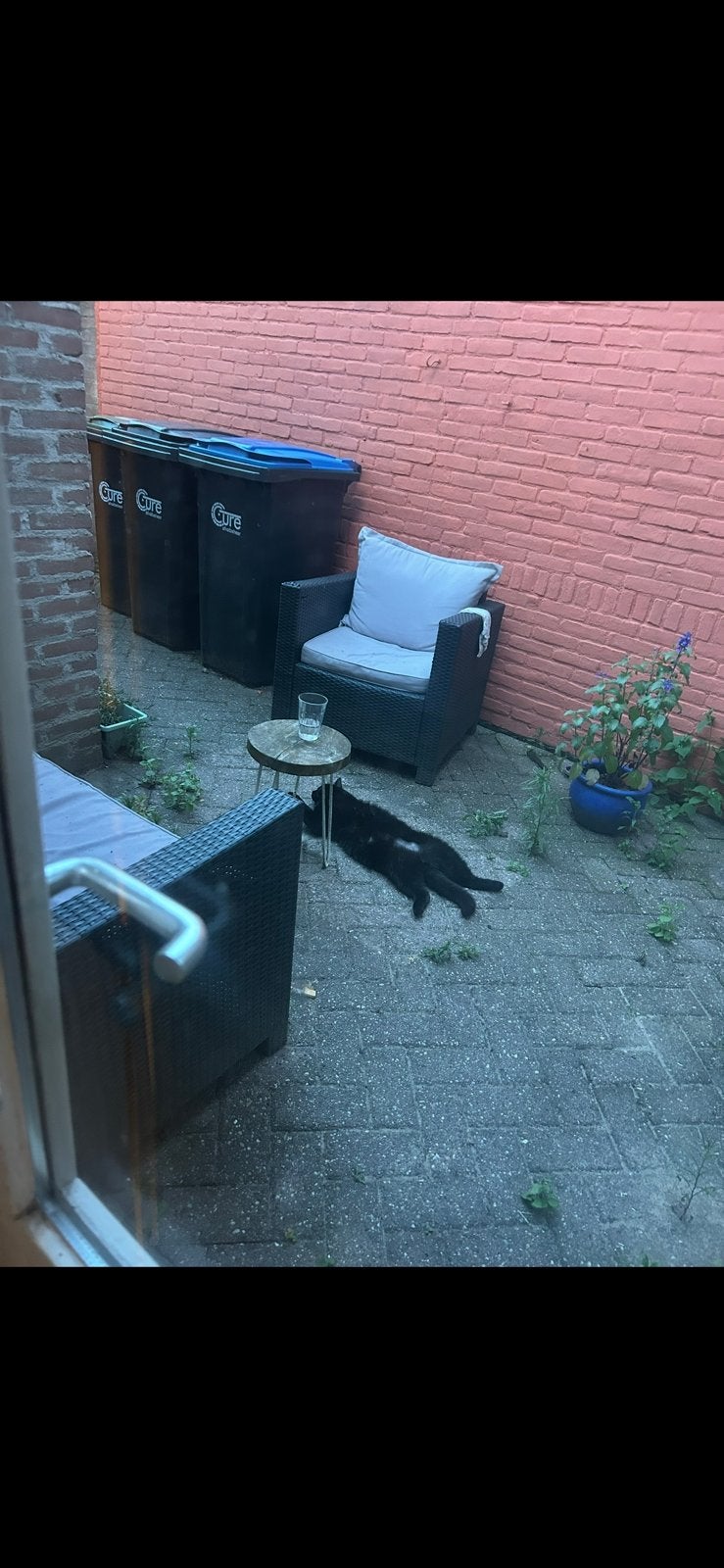 Gratis tuinsetje, Tuin en Terras, Ophalen, Gebruikt