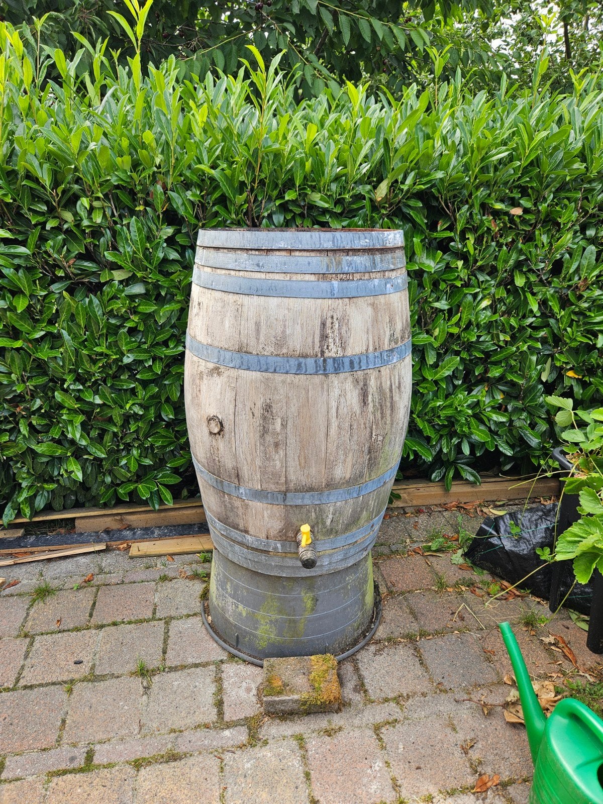 Regenton van houten wijnvat met kraantje, Ophalen, Gebruikt, Met kraantje, 150 liter of meer