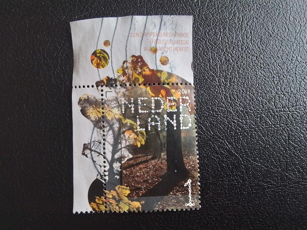 Nederland gestempeld 2019, Ophalen of Verzenden, Na 1940, Gestempeld
