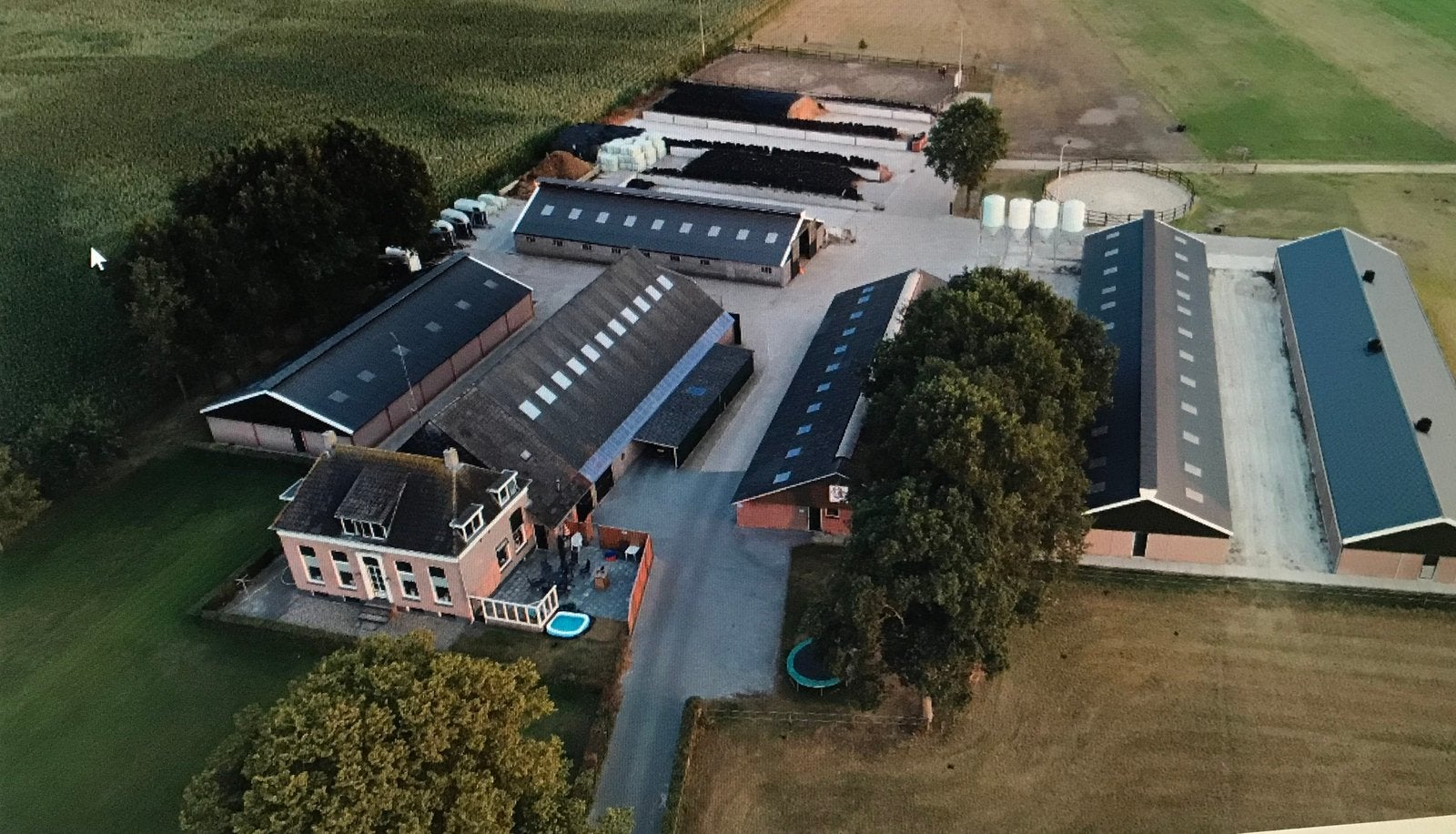 Pensionstal per 1 januari 1 box beschikbaar, Dieren en Toebehoren, Weidegang
