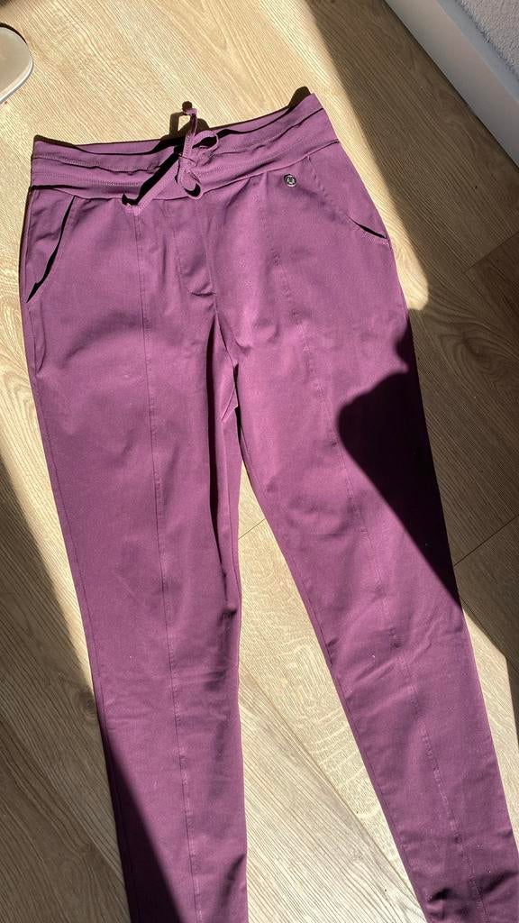Triple Nine aubergine broek maat S, Paars, Ophalen of Verzenden, Zo goed als nieuw, Maat 36 (S)