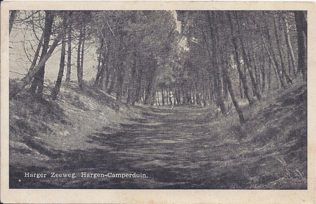 Hargen Camperduin Oude Gelopen Ansichtkaart (B949 ), Verzamelen, Ophalen of Verzenden, 1960 tot 1980, Gelopen