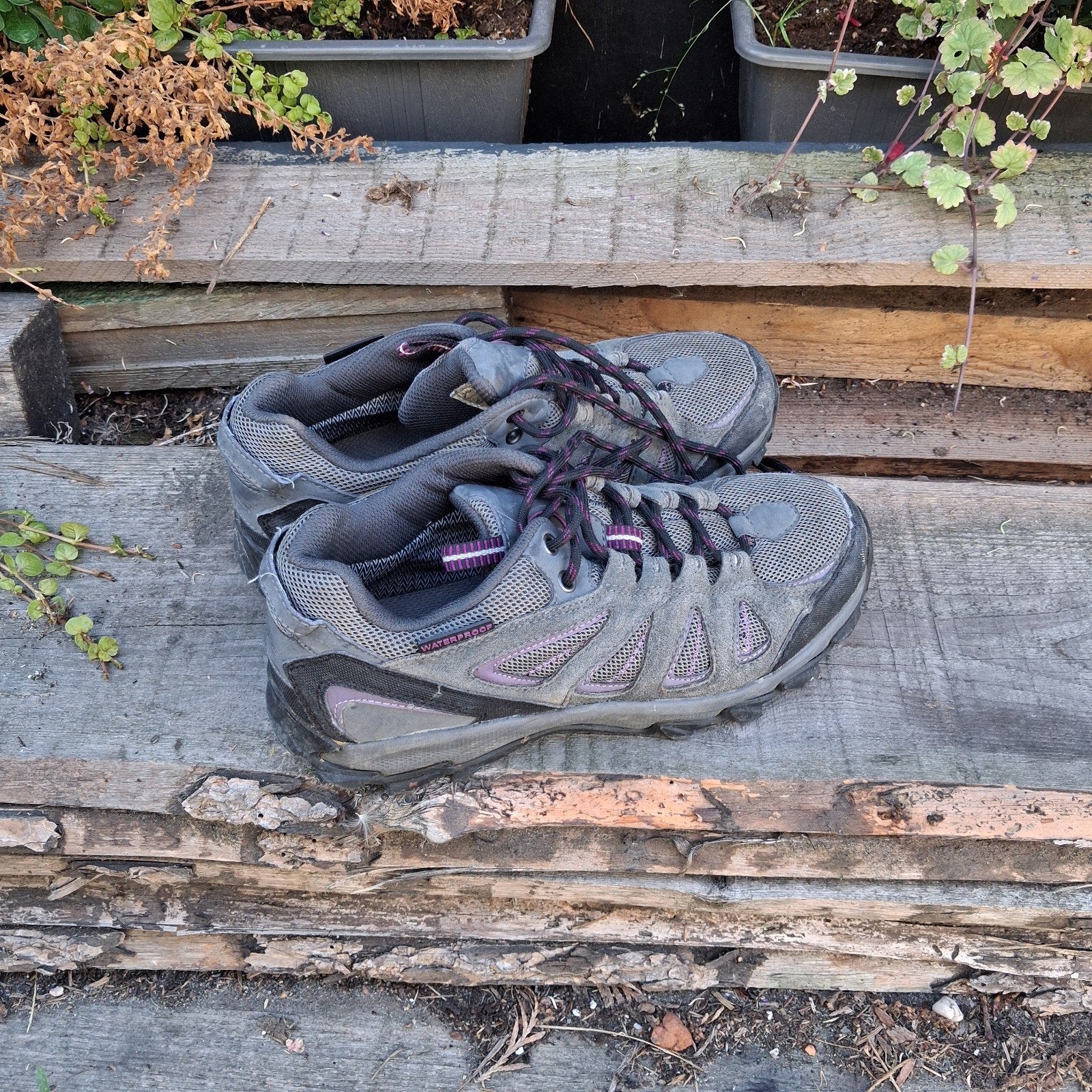 Human nature wandelschoenen maat 39, Ophalen, Wandelschoenen, Grijs, Human Nature