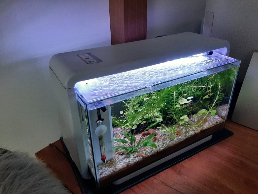 Aquarium Superfish met inhoud, Ophalen, Gebruikt, Overige typen, Superfish
