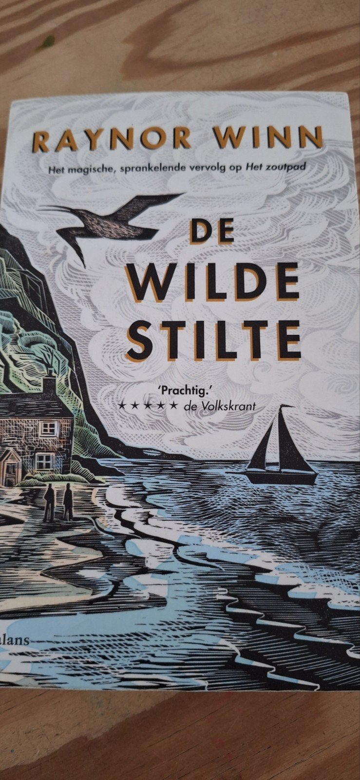 Raynor Winn - De wilde stilte, Boeken, Ophalen of Verzenden, Zo goed als nieuw, Raynor Winn