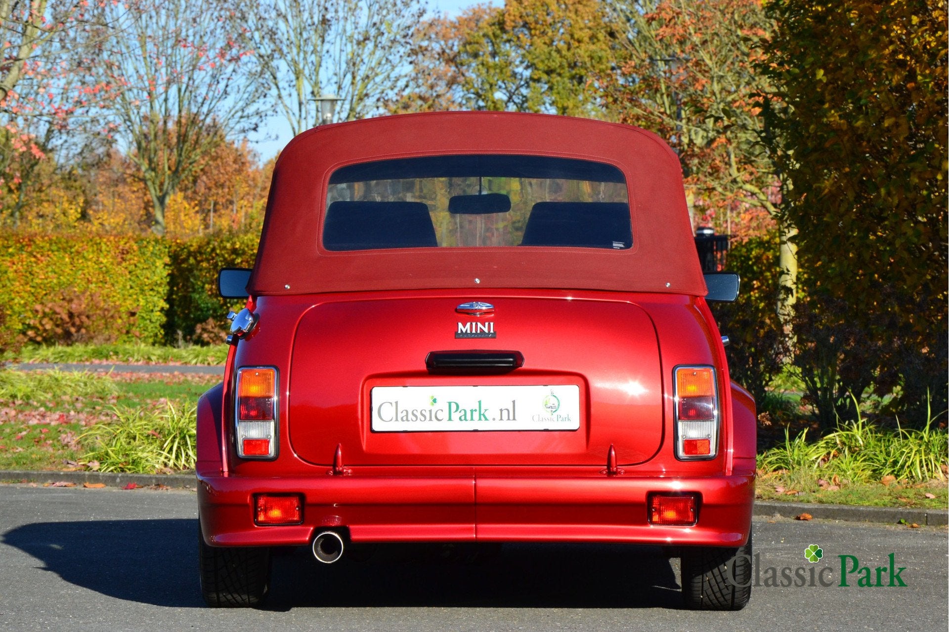 MINI cabriolet (Rover) (bj 1995), foto 8