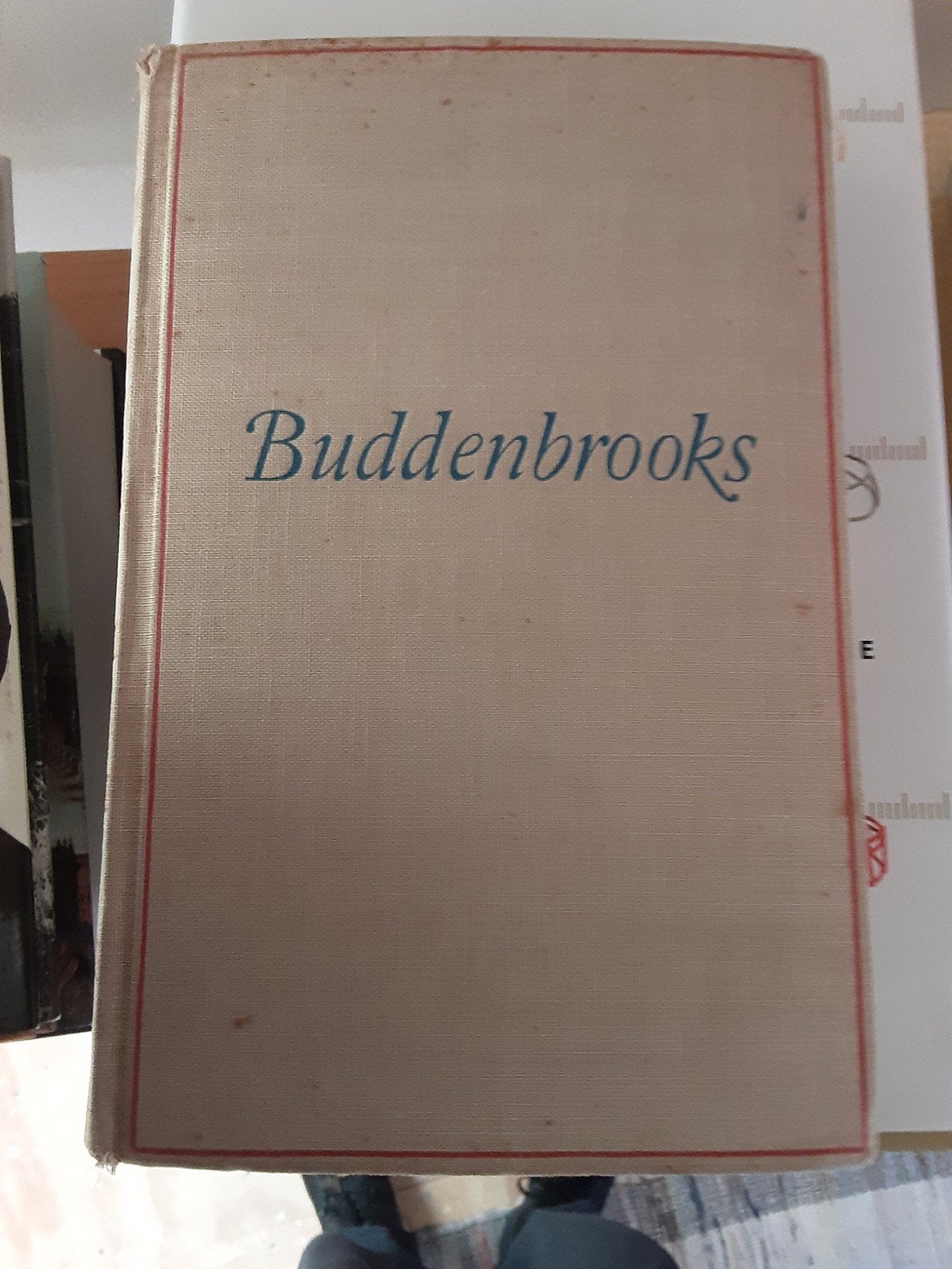 Thomas Mann/Buddenbrooks, Ophalen of Verzenden, Gelezen