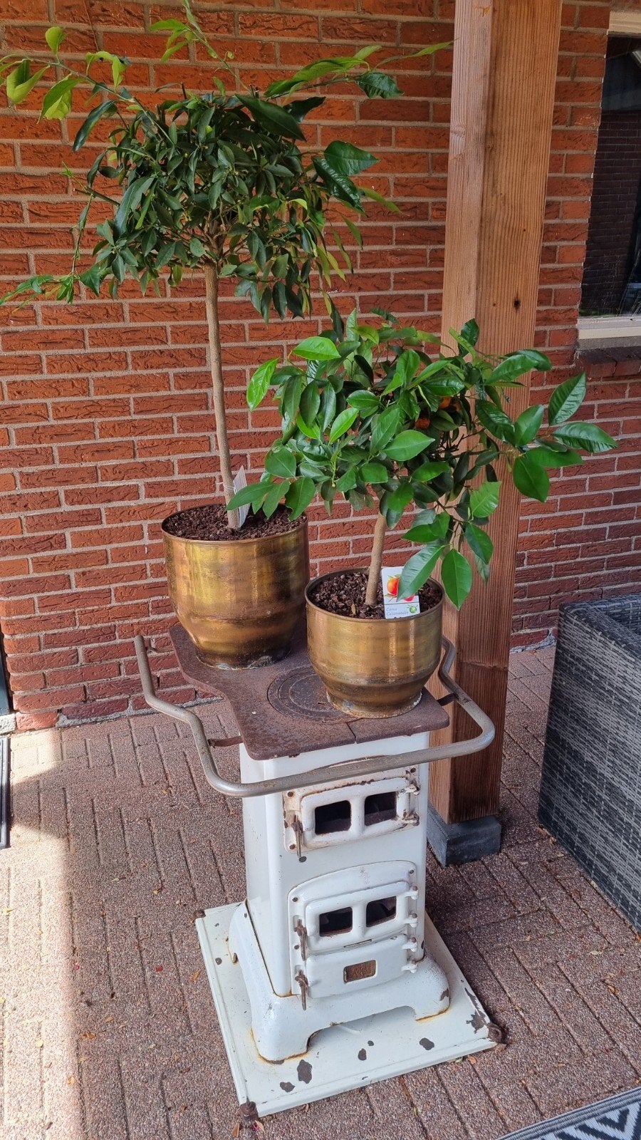 Antieke potkachel met citrusplanten en extra onderplaat, Ophalen of Verzenden