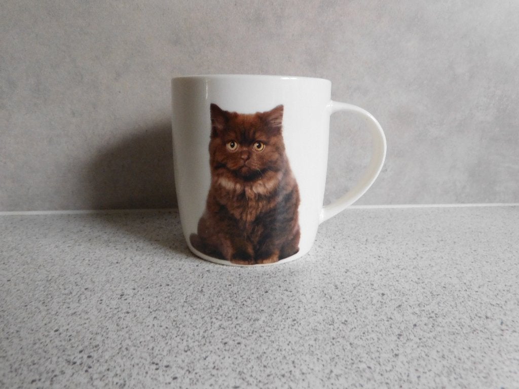 Mok 9x8 cm. Kat Langhaar Animal Friends, Overige merken, Zo goed als nieuw, Overige stijlen, Porselein