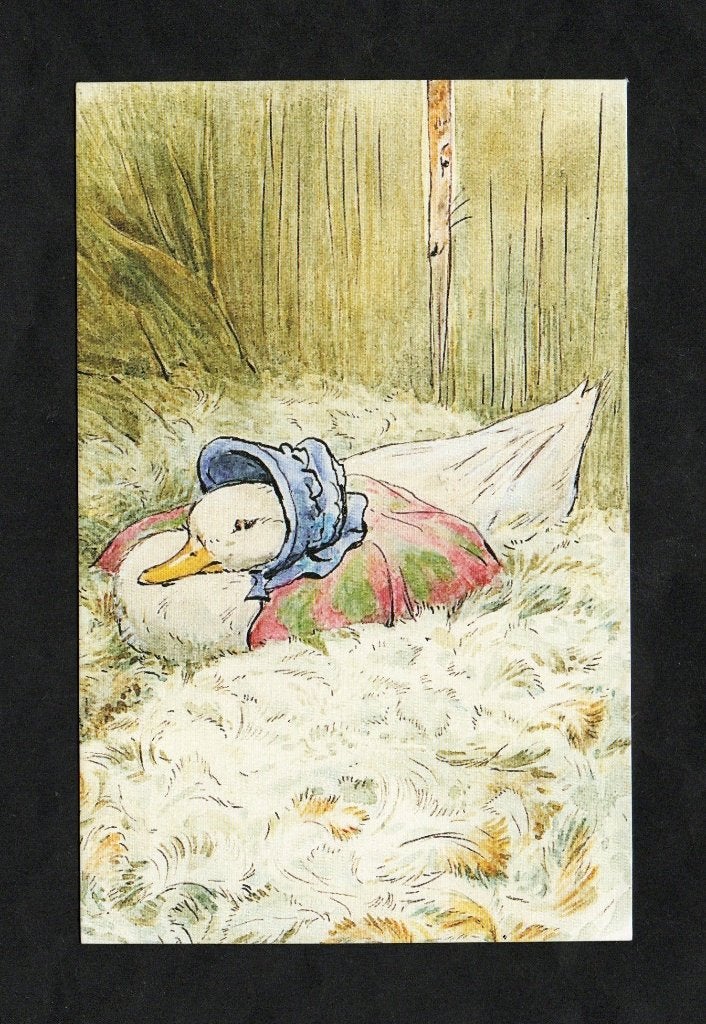 Beatrix Potter The Tale of Jemima Puddle Duck (2)., Ophalen of Verzenden, 1980 tot heden, Ongelopen, Kinderen