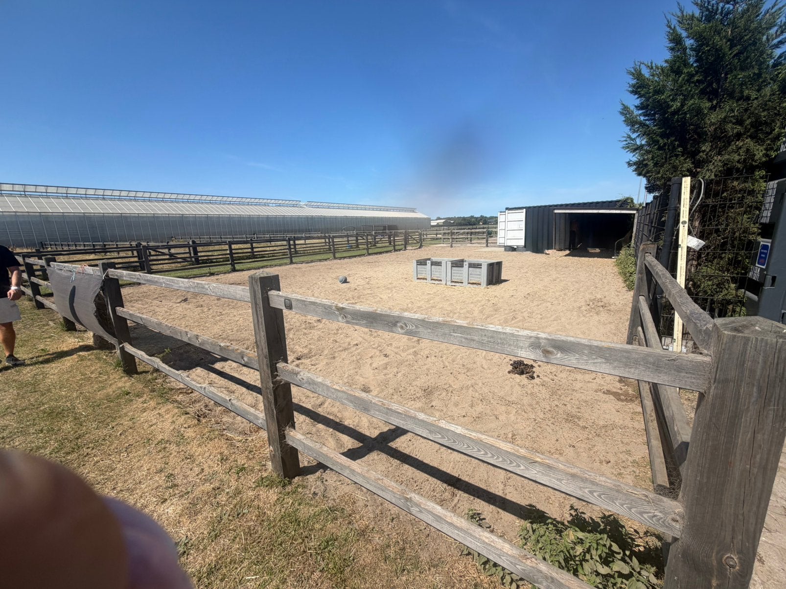 Paddock / paarden / weide heemskerk, Dieren en Toebehoren