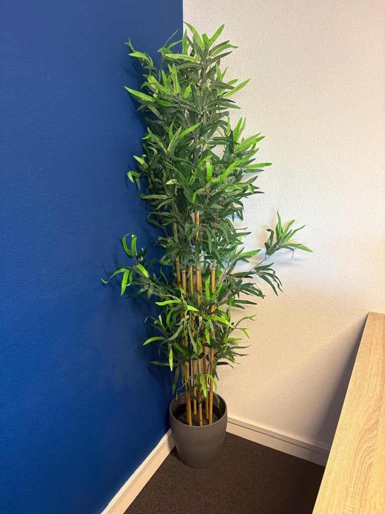 Realistische Kunst Bamboeplant met Pot, Ophalen, Volledige schaduw, Overige soorten, In pot