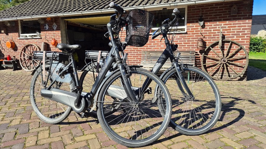 setje van 2 e-bikes RIH X-OMEGA mat zwart, samen, Gebruikt, 51 tot 55 cm, 50 km per accu of meer, Ophalen