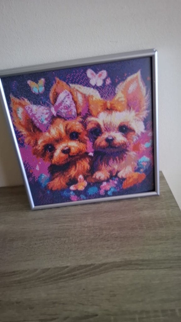 diamond painting, Hobby en Vrije tijd, Knutselen, Ophalen of Verzenden, Nieuw, Knutselwerk