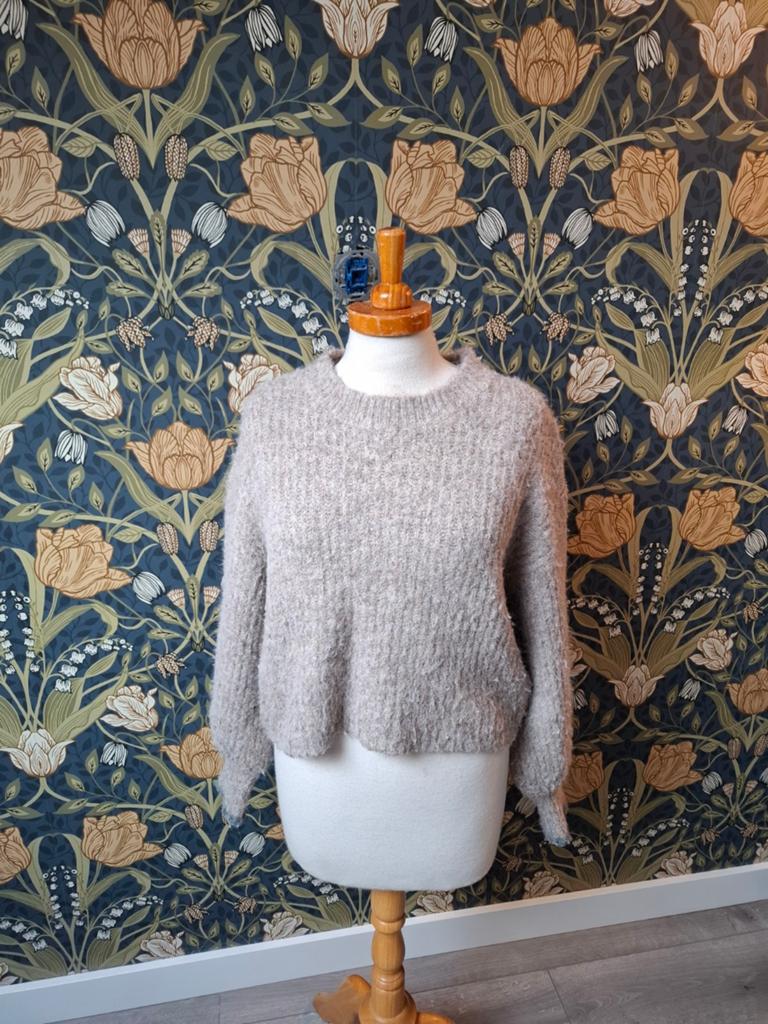 Co couture trui maat xs, Kleding | Dames, Ophalen of Verzenden, Zo goed als nieuw, Maat 34 (XS) of kleiner, Grijs