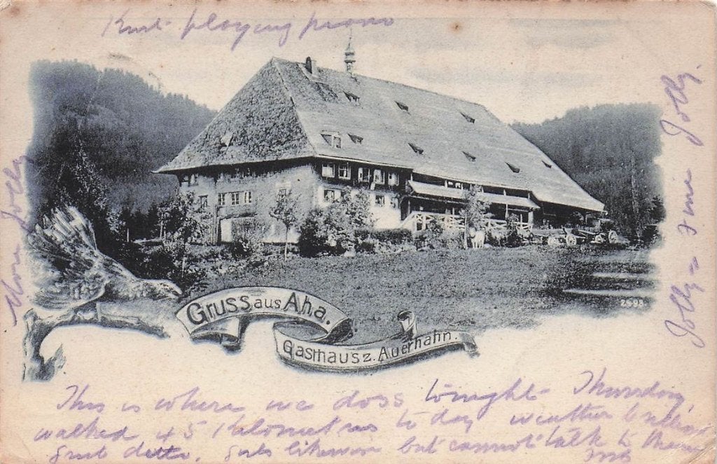 702-388-011 Gruss Aus Aha Gasthaus Z Auerhahn, Verzenden, Voor 1920, Duitsland