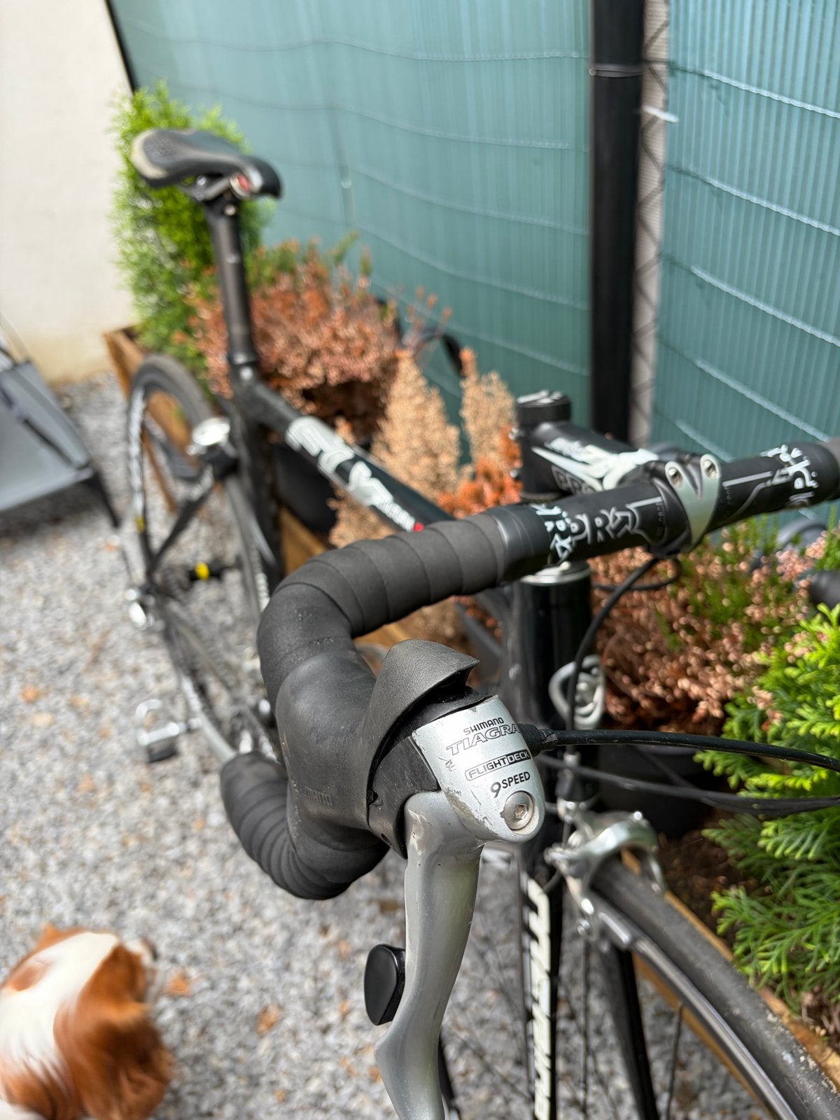 Merida Racefiets - Ultegra - Carbon frame- 53cm, 28 inch, Gebruikt, Carbon, Meer dan 20 versnellingen