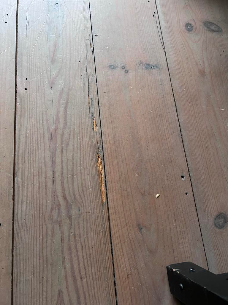 Massieve houten vloerplanken (ca. 40m2) - Gebruikt, Gebruikt, 10 m² of meer, 10 tot 30 cm, Hout
