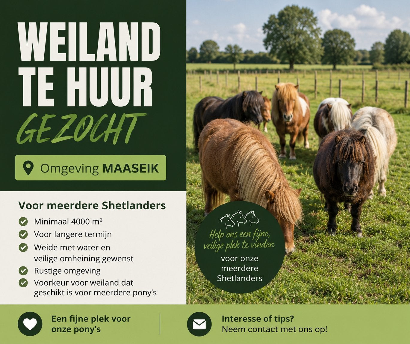 Weiland te huur gevraagd, Dieren en Toebehoren, Weidegang, 4 paarden of pony's of meer