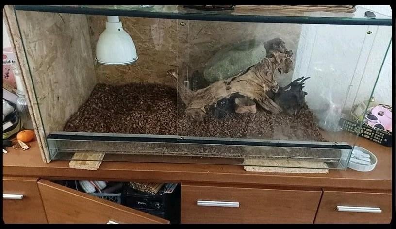 Net terrarium, Dieren en Toebehoren, Ophalen, Zo goed als nieuw, Terrarium of Paludarium