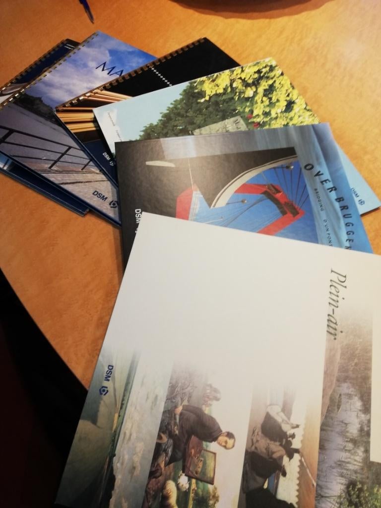 DSM Kalenders, Diversen, Kalenders, Ophalen, Maandkalender, Zo goed als nieuw