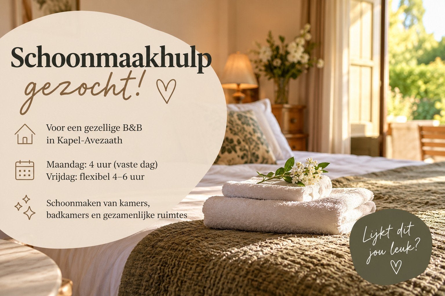Schoonmaakhulp gezocht vast en/of flexibel - Kapel-Avezaath