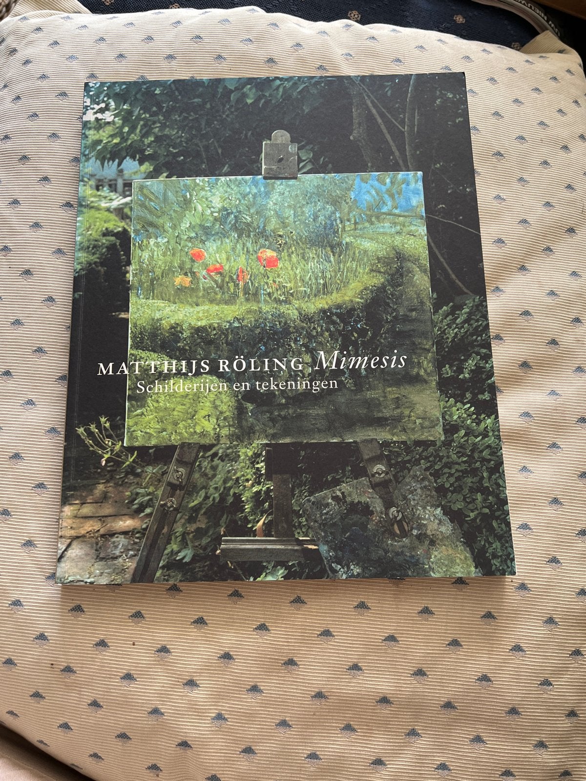 Matthijs Röling Mimesis - Schilderijen en tekeningen, Ophalen of Verzenden, Zo goed als nieuw, Schilder- en Tekenkunst