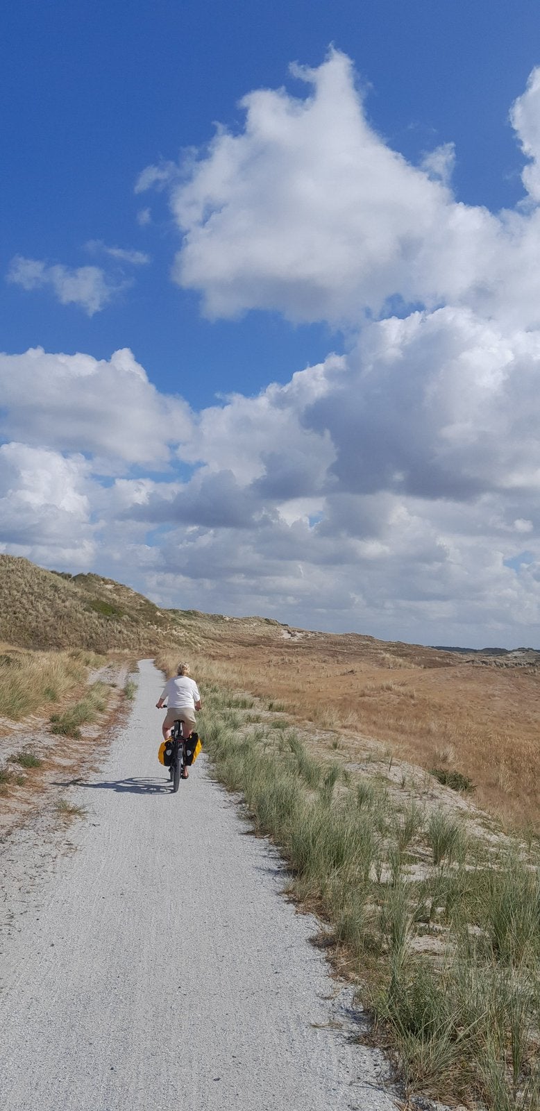 Velduil en ijsduiker De Waard te huur op Stortemelk Vlieland, Aan zee
