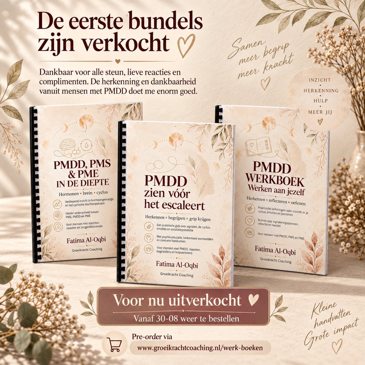PMDD, PMS & PME Boekenbundel:Herkennen, Begrijpen, Toepassen