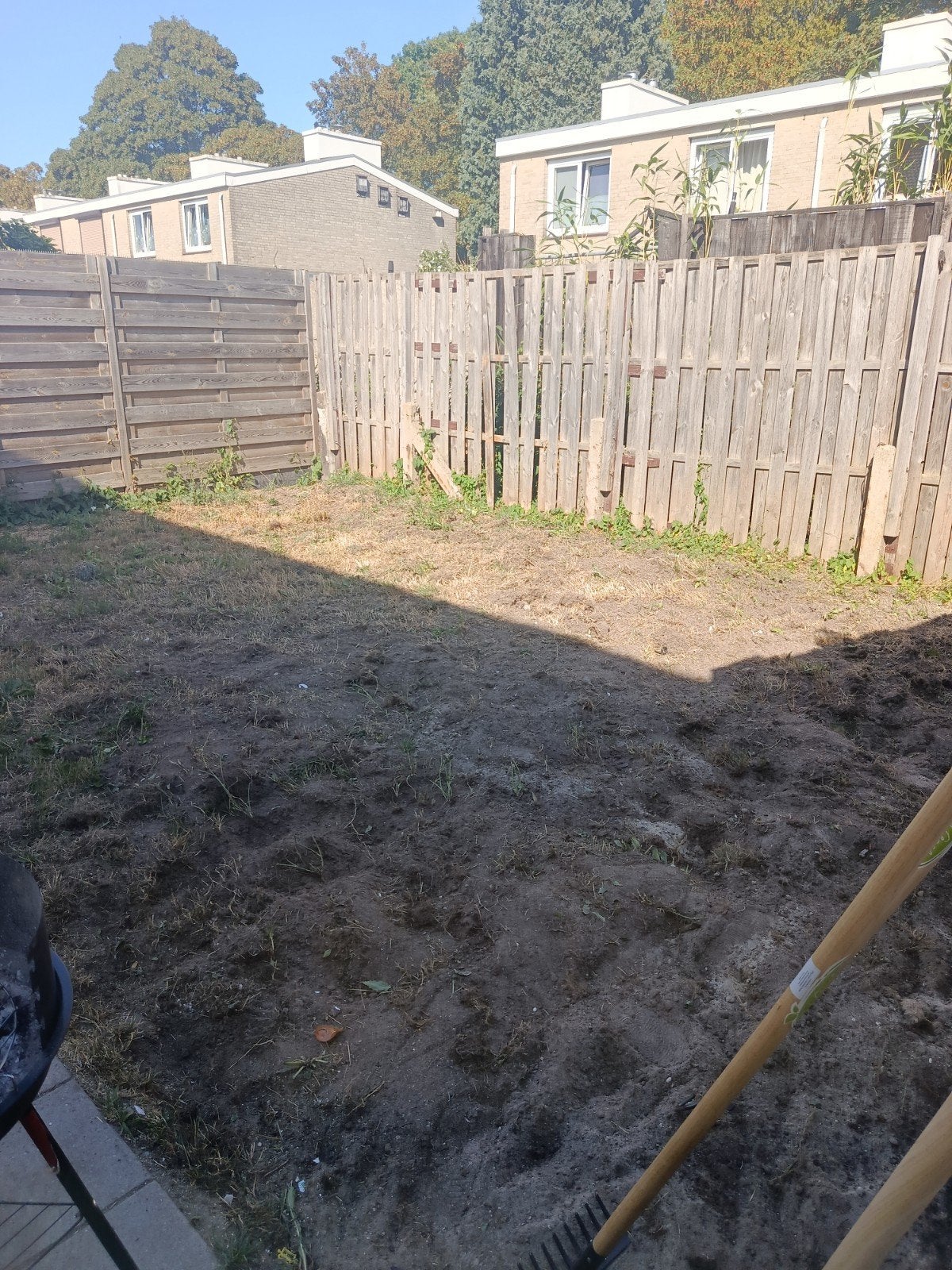 Tuin, Overige niveaus, Starter, Overige vormen