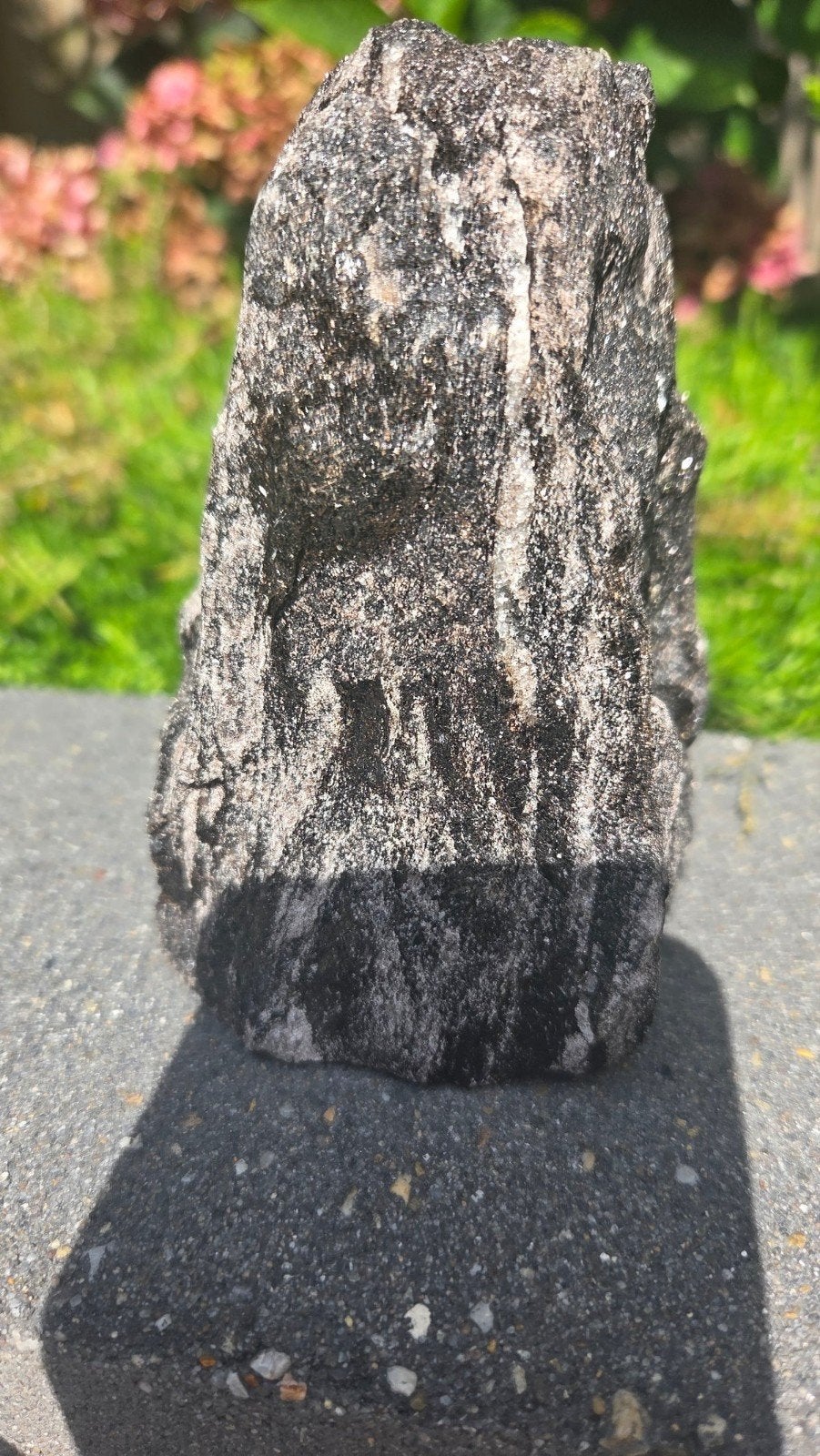 zwarte mica, Ophalen of Verzenden