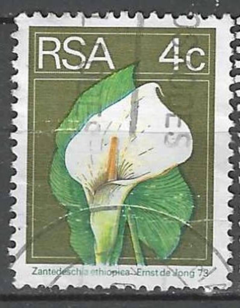 Zuid-Afrika 1974 - Yvert 362 - Witte Aronskelk (ST), Verzenden, Zuid-Afrika, Gestempeld