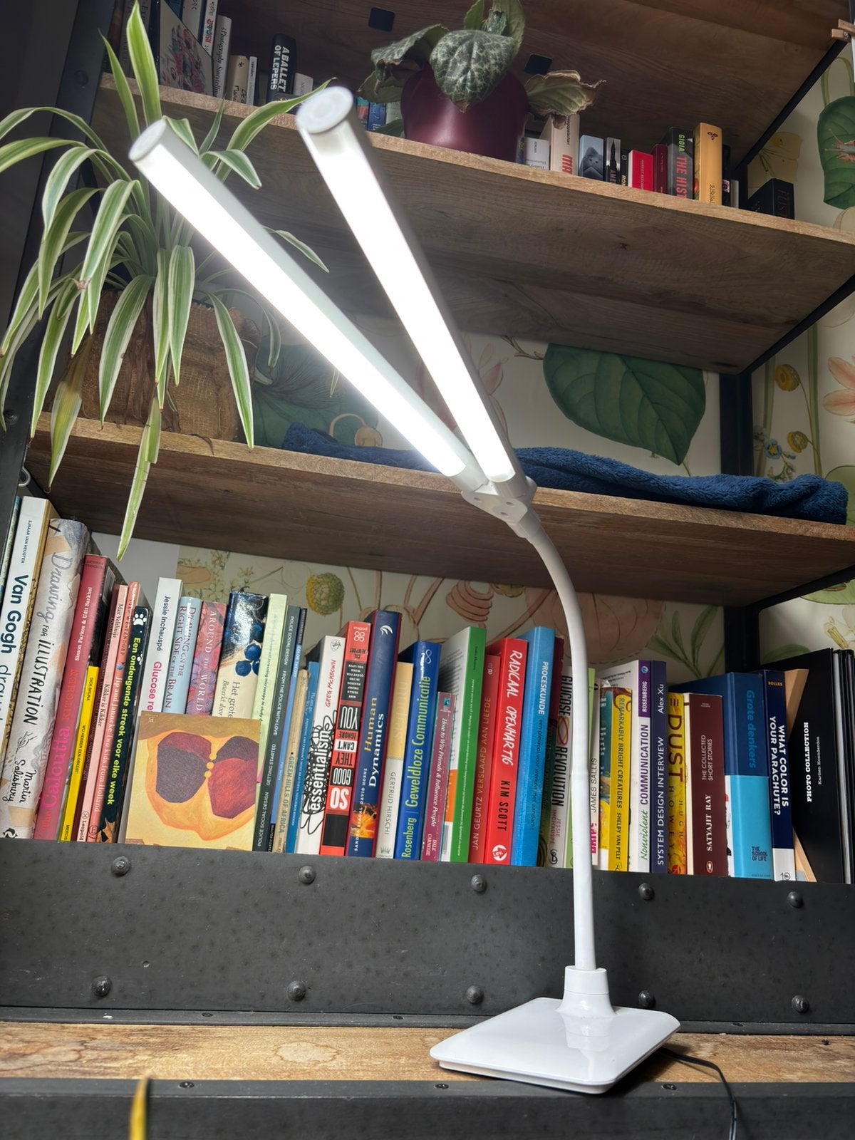 Daylight lamp, Ophalen, Zo goed als nieuw