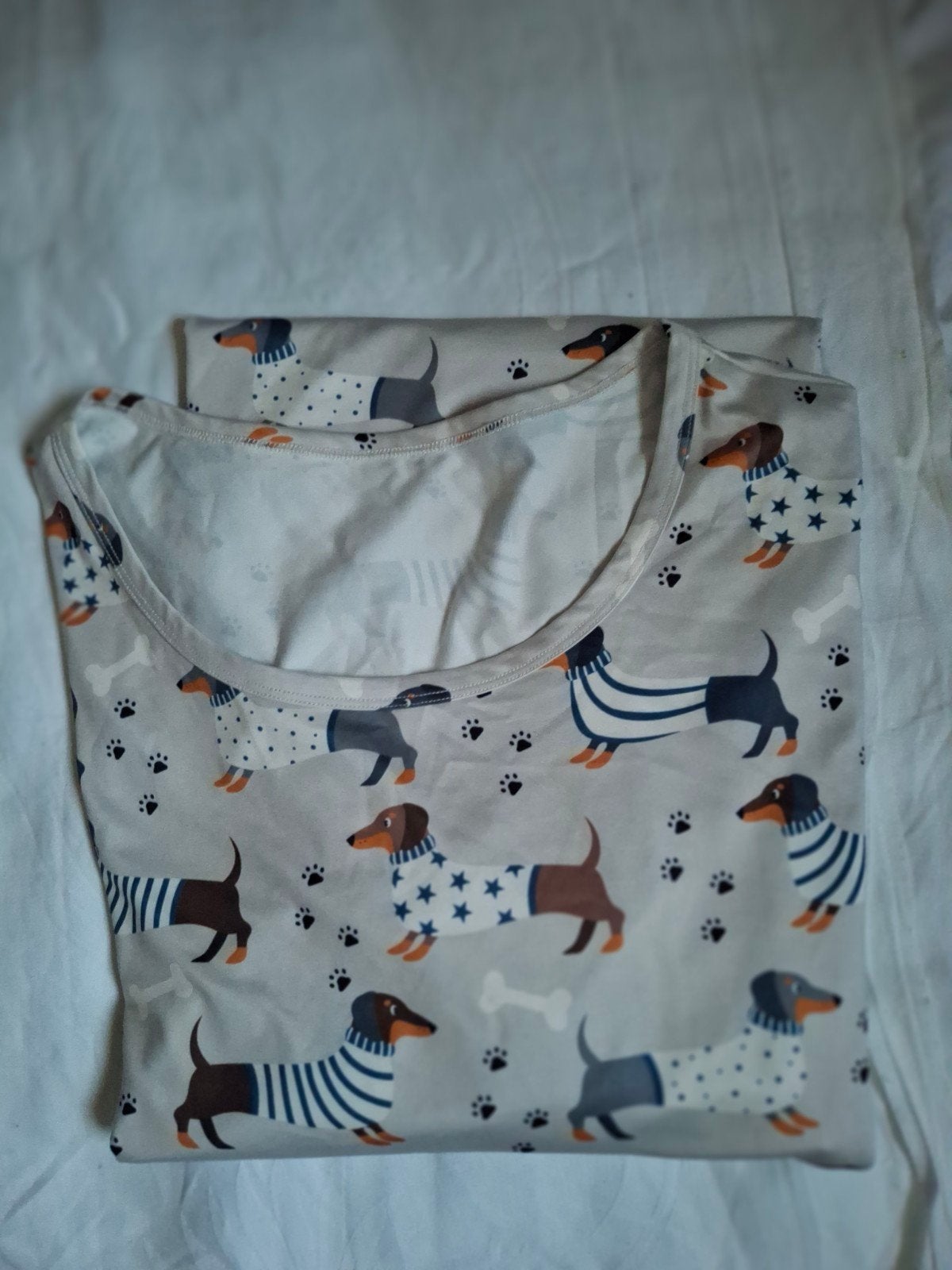 Teckel nachthemd, Ophalen of Verzenden, Zo goed als nieuw, Maat 46/48 (XL) of groter