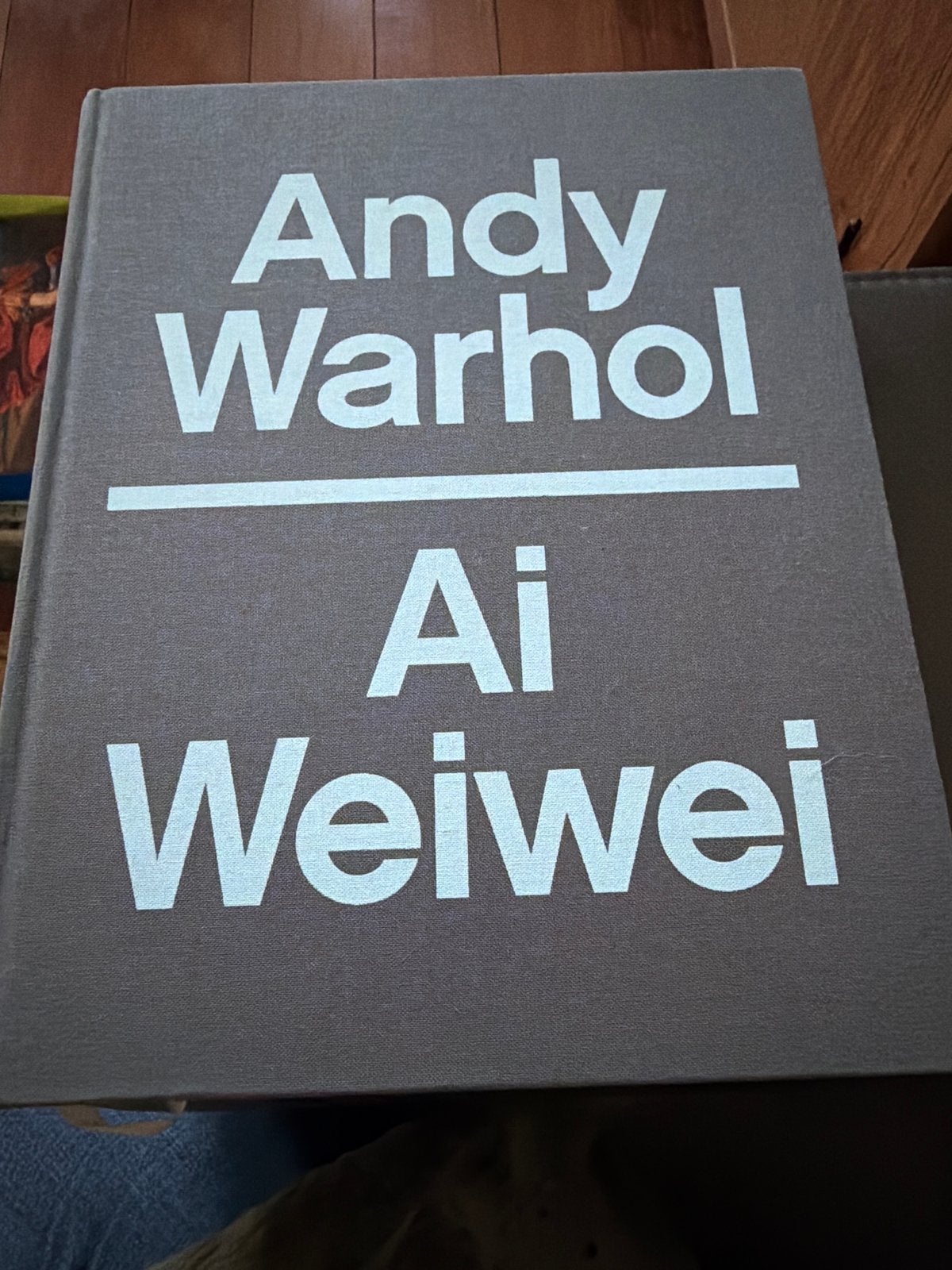 Andy Warhol Ai Weiwei Boek - Kunst & Fotografie, Ophalen of Verzenden, Zo goed als nieuw, Overige onderwerpen