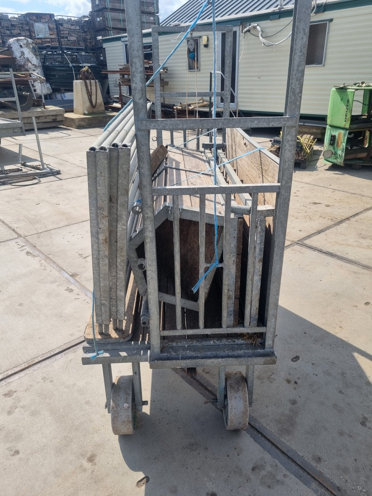 schapenkantelaar, Dieren en Toebehoren, Mannelijk, Schaap