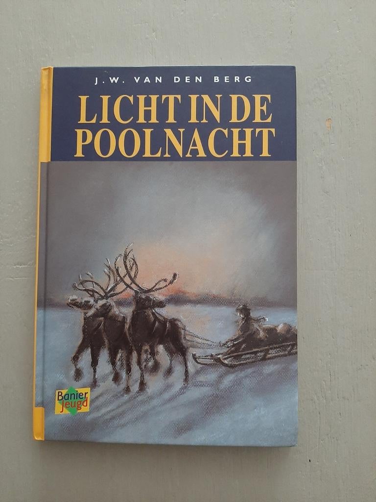 Licht in de poolnacht-J.W. van den Berg., Ophalen of Verzenden, Zo goed als nieuw, J.W. van den Berg, Fictie