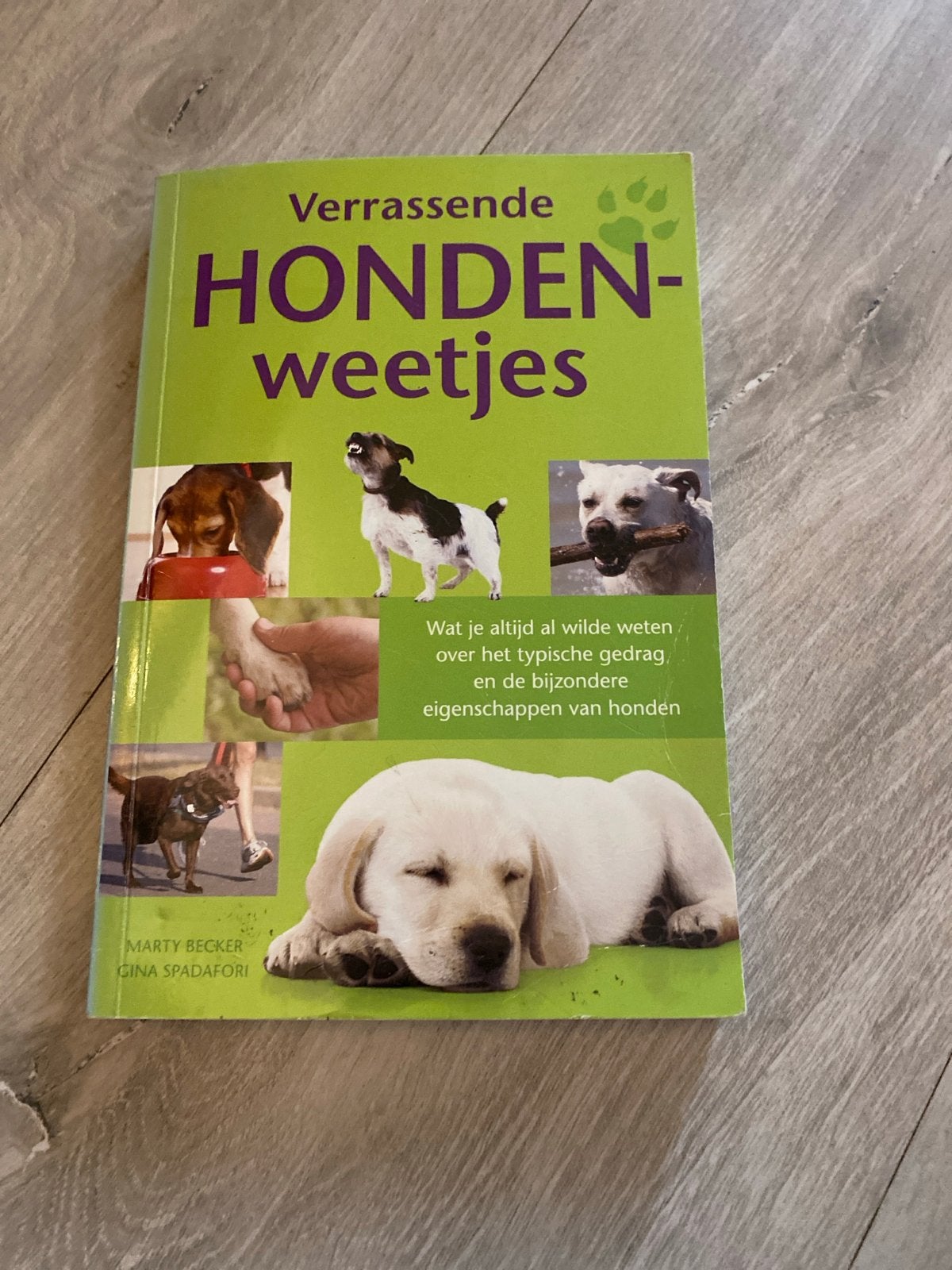 Verrassende Hondenweetjes - Boek over honden, Ophalen of Verzenden, Gelezen, Honden
