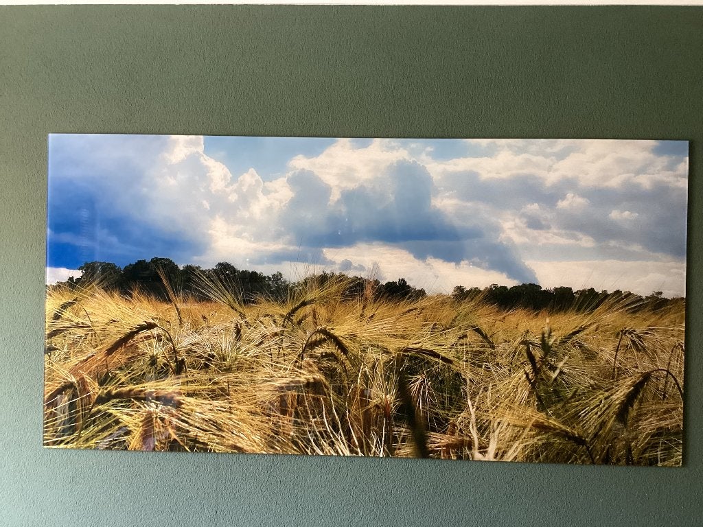 Plexiglas schilderij korenveld, Ophalen, Schilderij, Achter glas, 100 cm