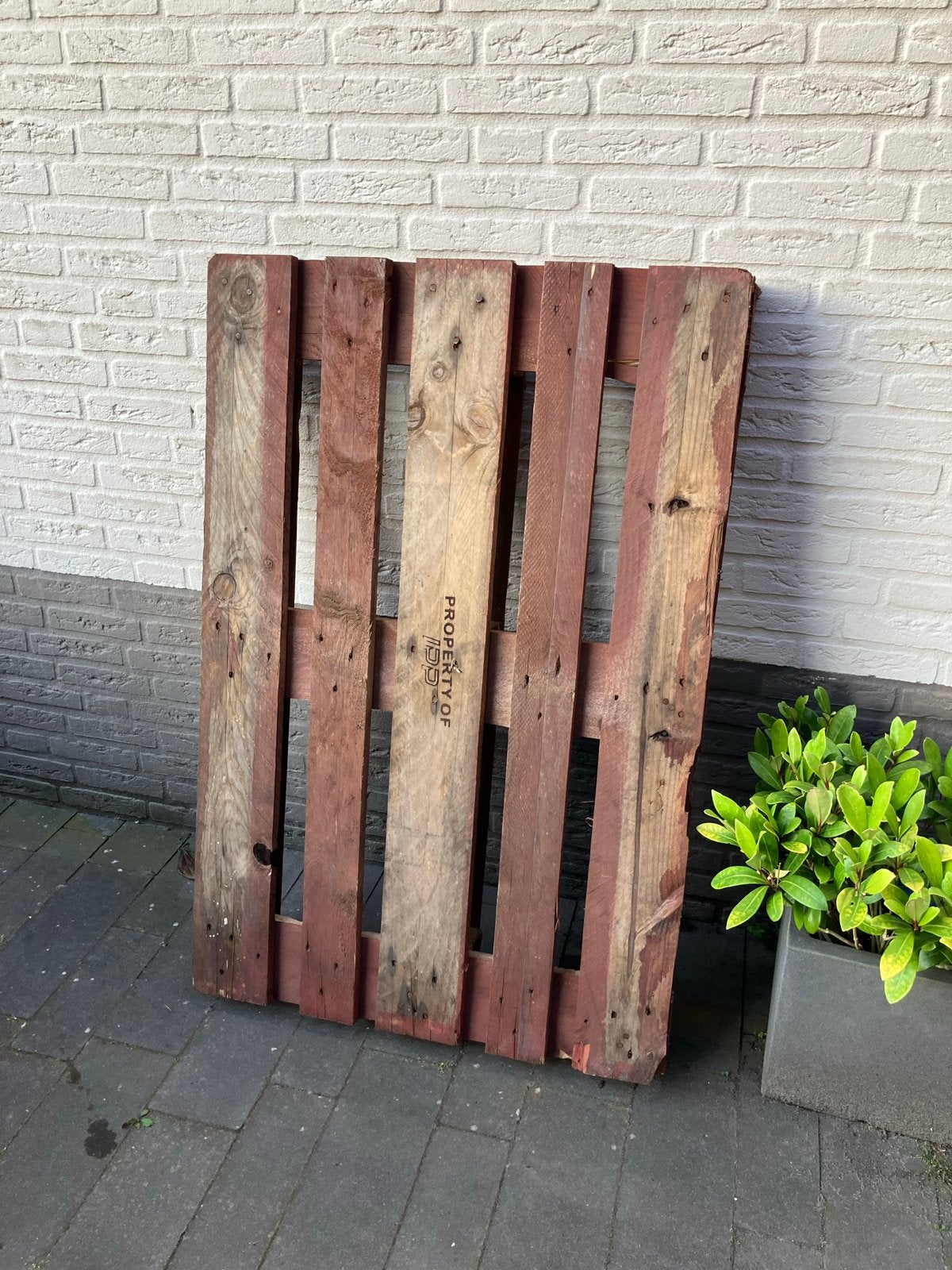Stevige houten pallet, Ophalen, Gebruikt, 50 mm of meer, Pallet