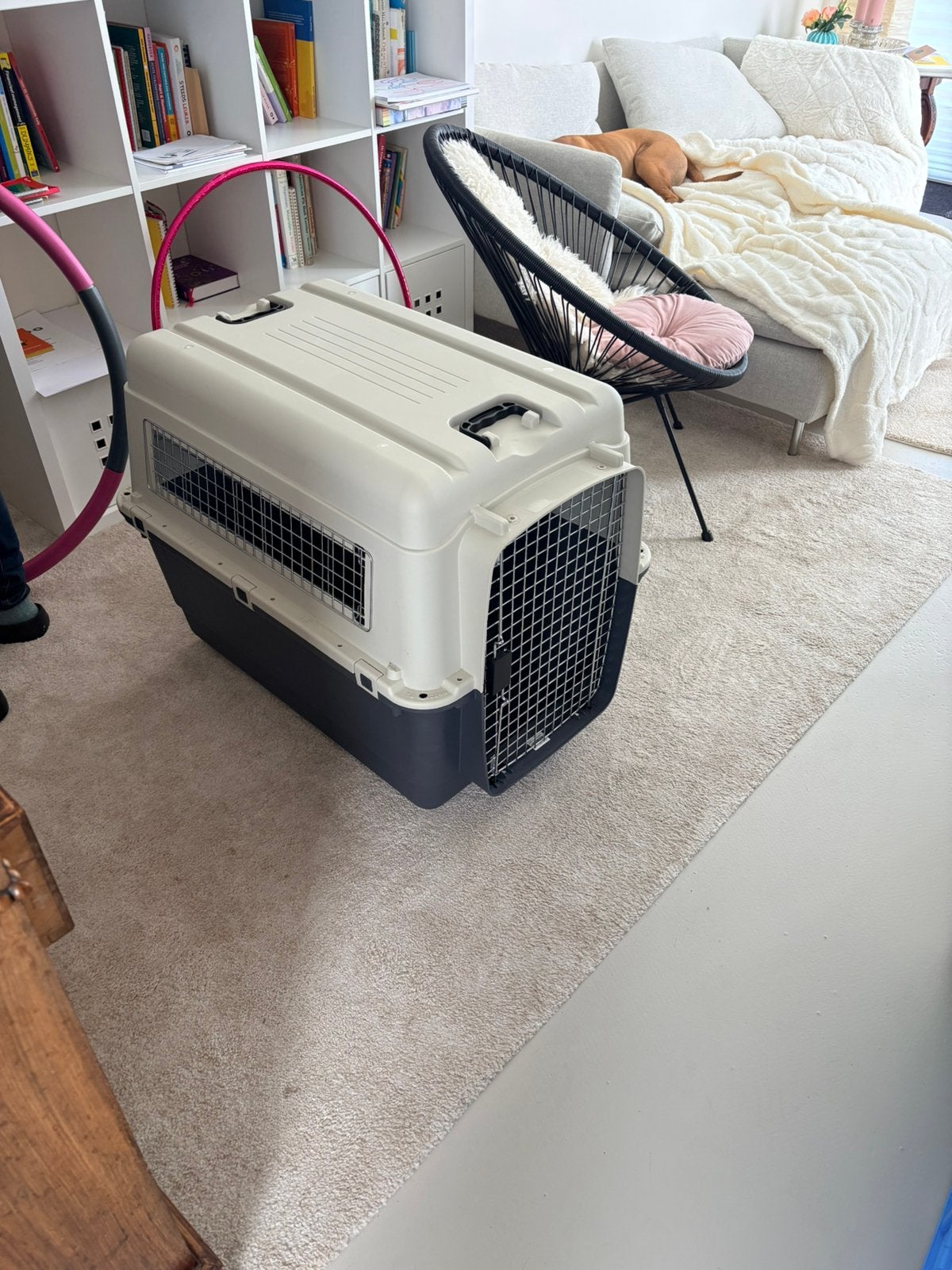Honden bench/ Transport bench, Ophalen, Zo goed als nieuw