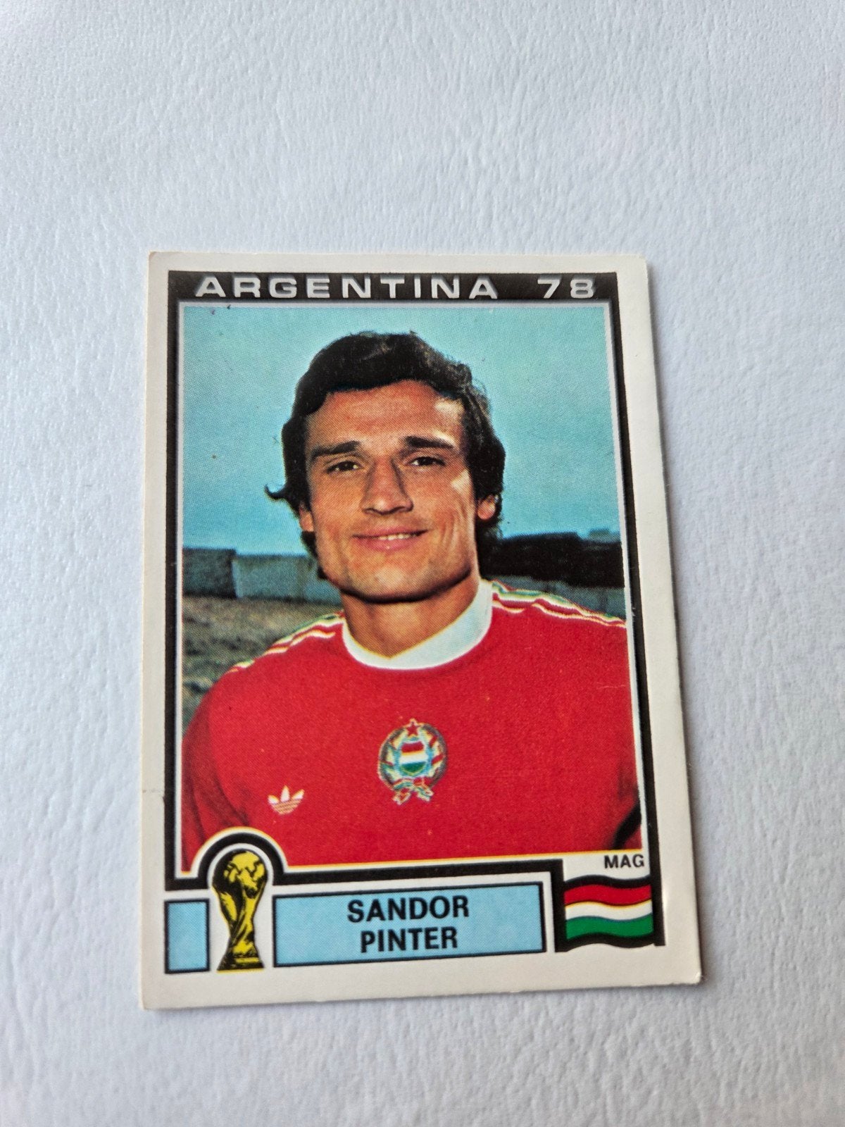 Panini WK 78, Verzamelen, Ophalen of Verzenden, Zo goed als nieuw, Buitenlandse clubs, Poster, Plaatje of Sticker