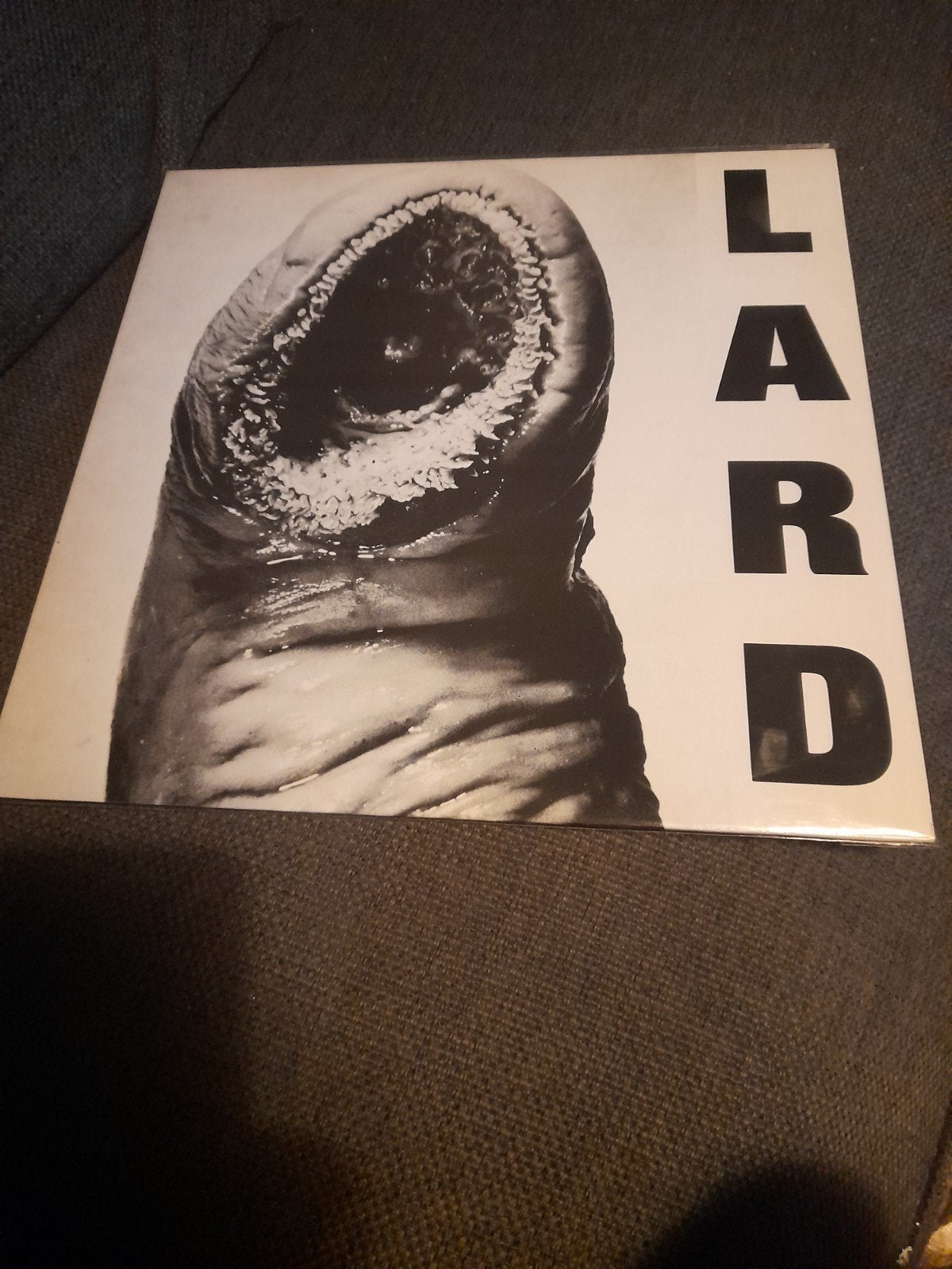 Lard - The Power of Lard (EP) - Alternative Vinyl, Gebruikt, Verzenden, 1980 - 1989, Alternative