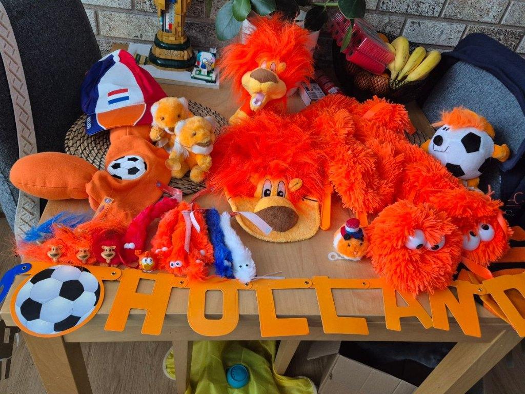 oranje spullen voor komende WK, Ophalen of Verzenden, Gebruikt, Feestartikel, Oranje of Koningsdag