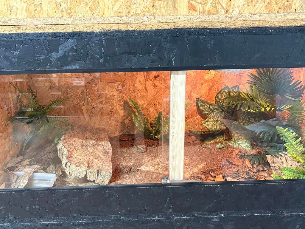 Terrarium 120x60x60, Dieren en Toebehoren, Ophalen, Gebruikt