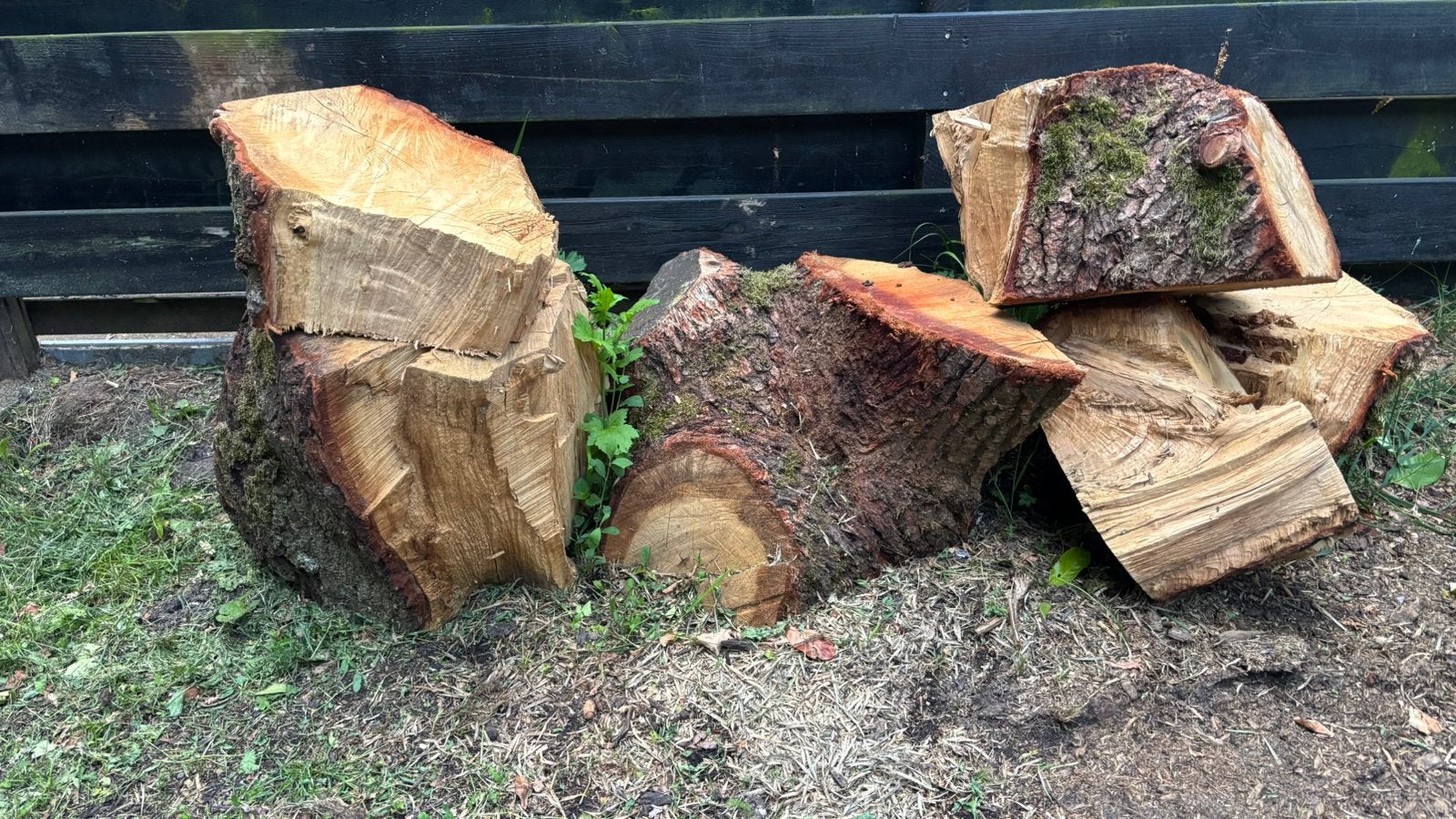 Eikenhout/ haardhout gratis, Tuin en Terras, Haardhout, Minder dan 3 m³, Ophalen